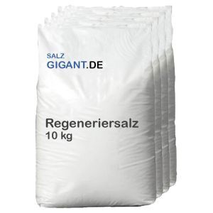 Regeneriersalz 91 x 10kg
